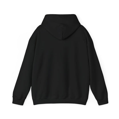 Unisex Fire and Ice Graphic Hoodie: Cozy Sweatshirt, Casual Wear, Perfect Gift for Gamers, Birthday, Fun, Halloween