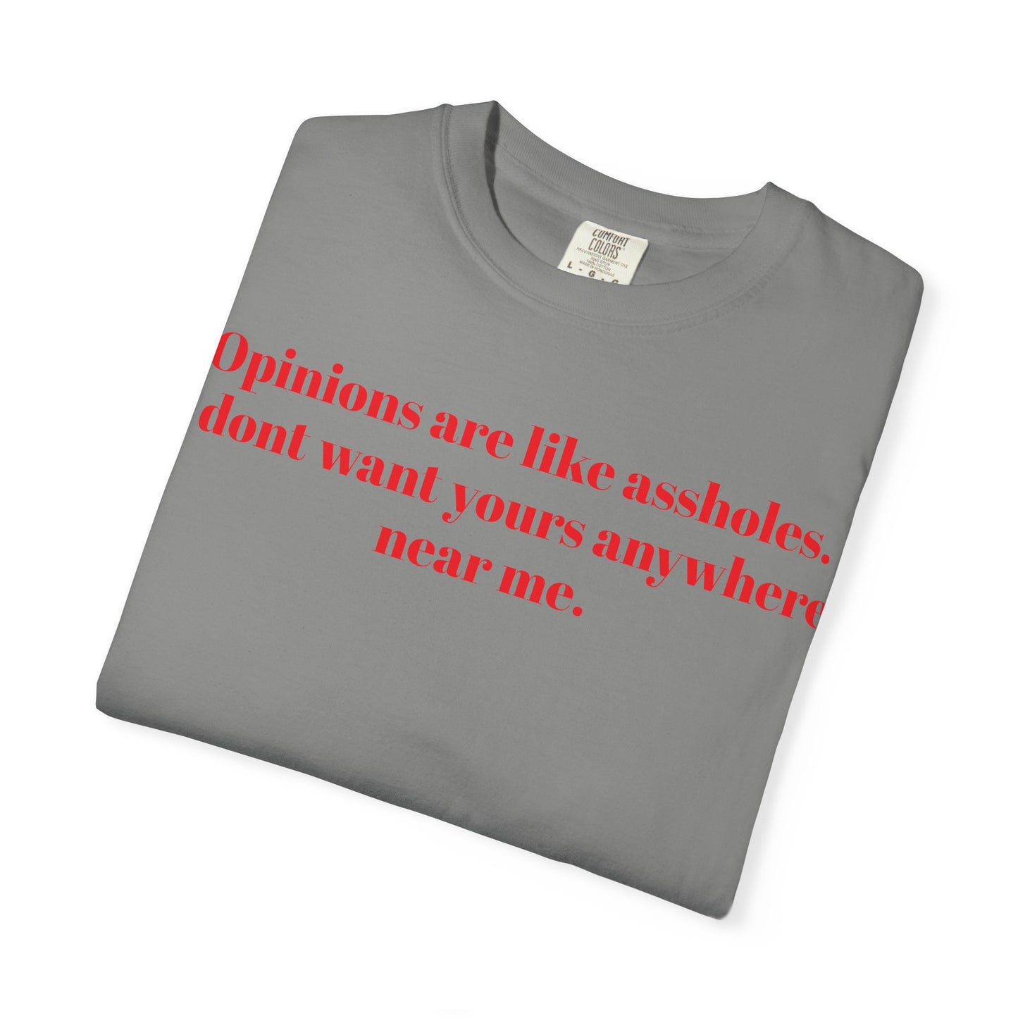Funny Sarcastic Tee, Unisex Quote T-Shirt, Gift for Friends, Statement T-Shirt, Casual Humor Apparel