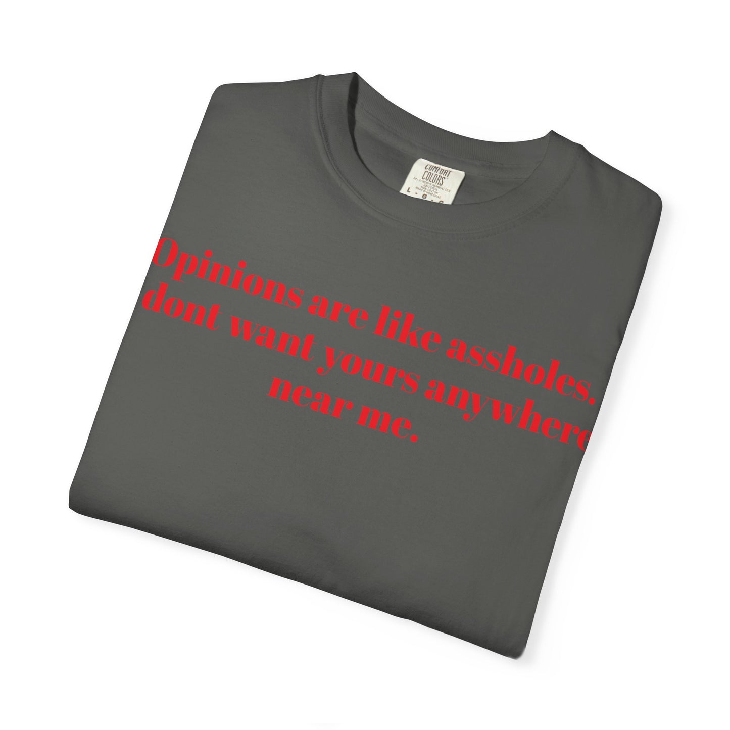 Funny Sarcastic Tee, Unisex Quote T-Shirt, Gift for Friends, Statement T-Shirt, Casual Humor Apparel